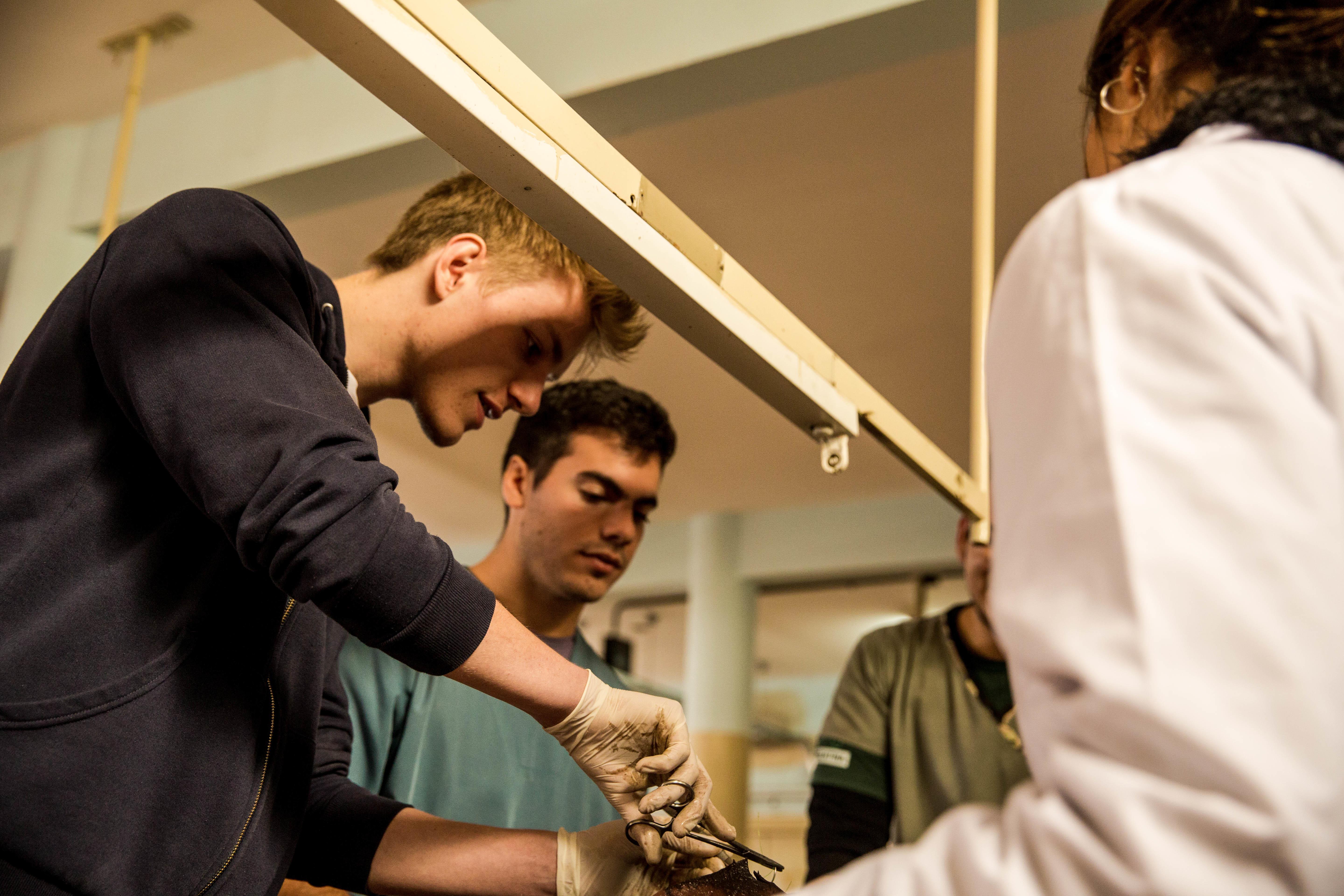 Médicos internos durante un taller sobre suturas. Interno de Medicina en Argentina aprendiendo a suturar en un taller médico.